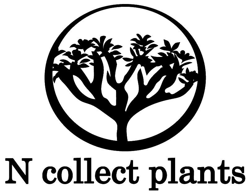 N collect plants