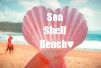 Sea Shell Beach