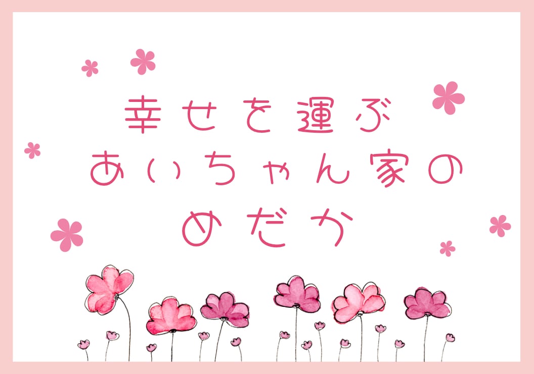 幸せを運ぶあいちゃん家のめだか