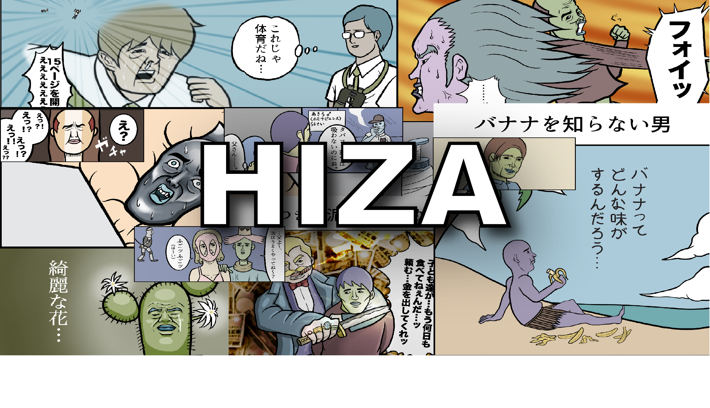 HIZA Store