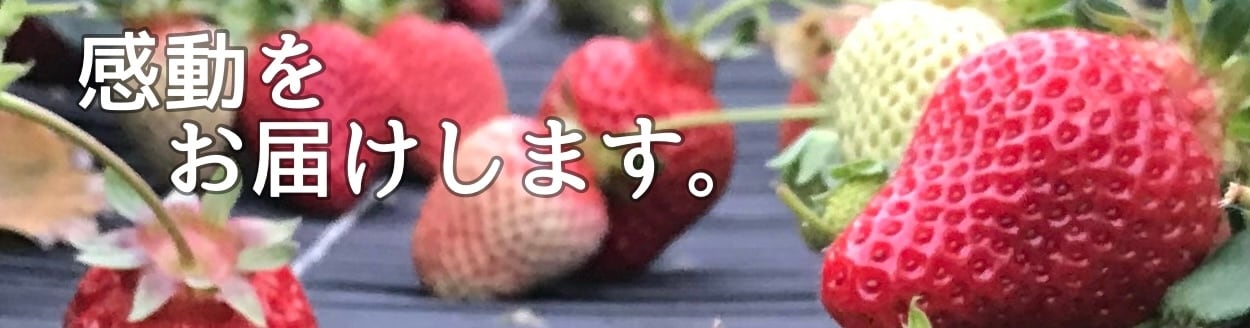 マルトクファーム