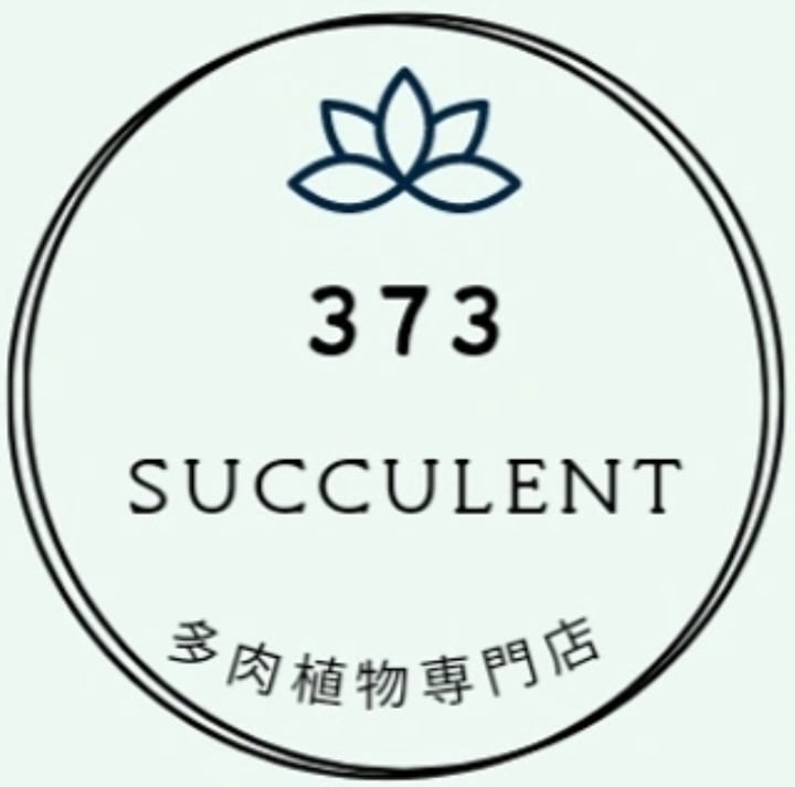 373succulent