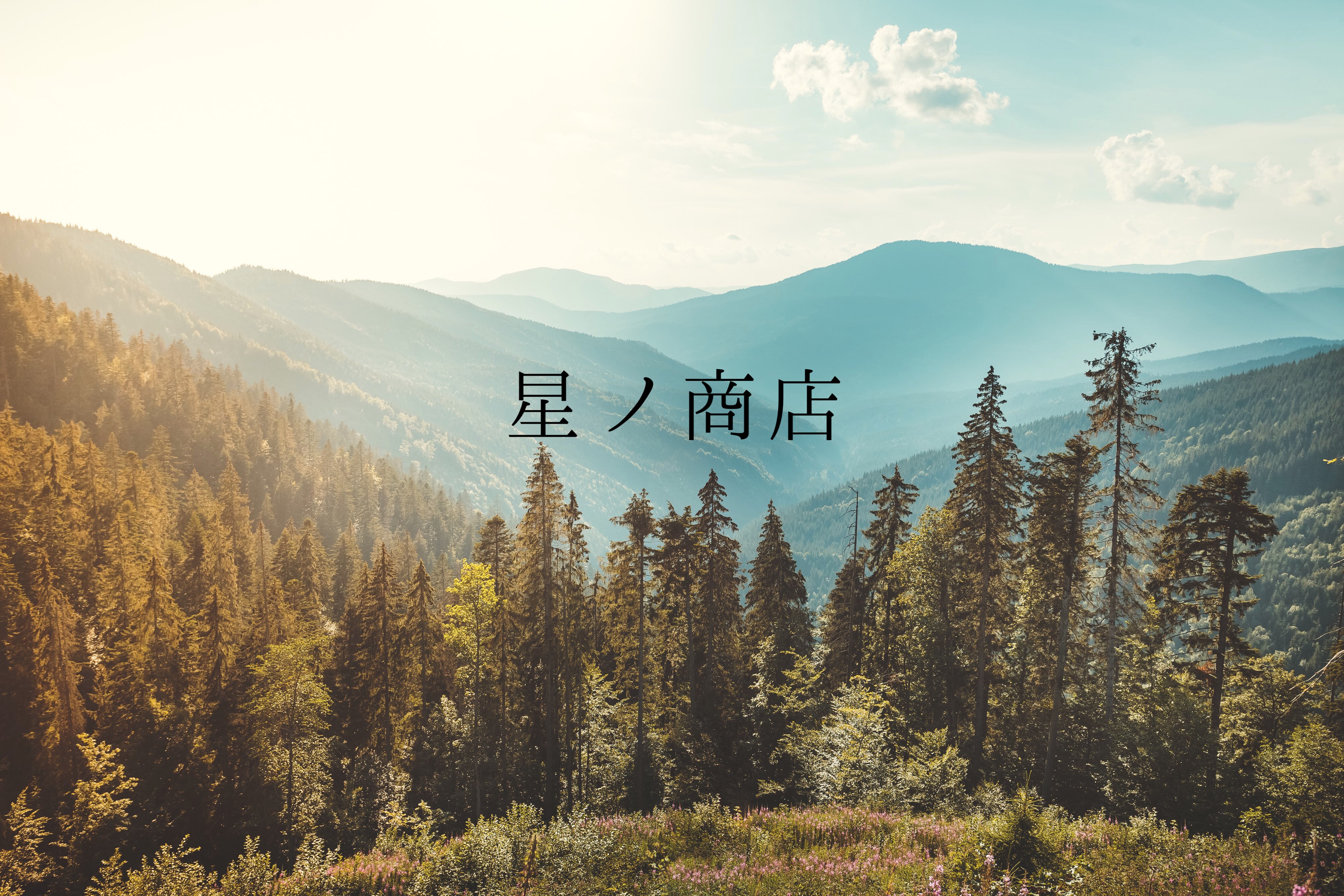 星ﾉ商店