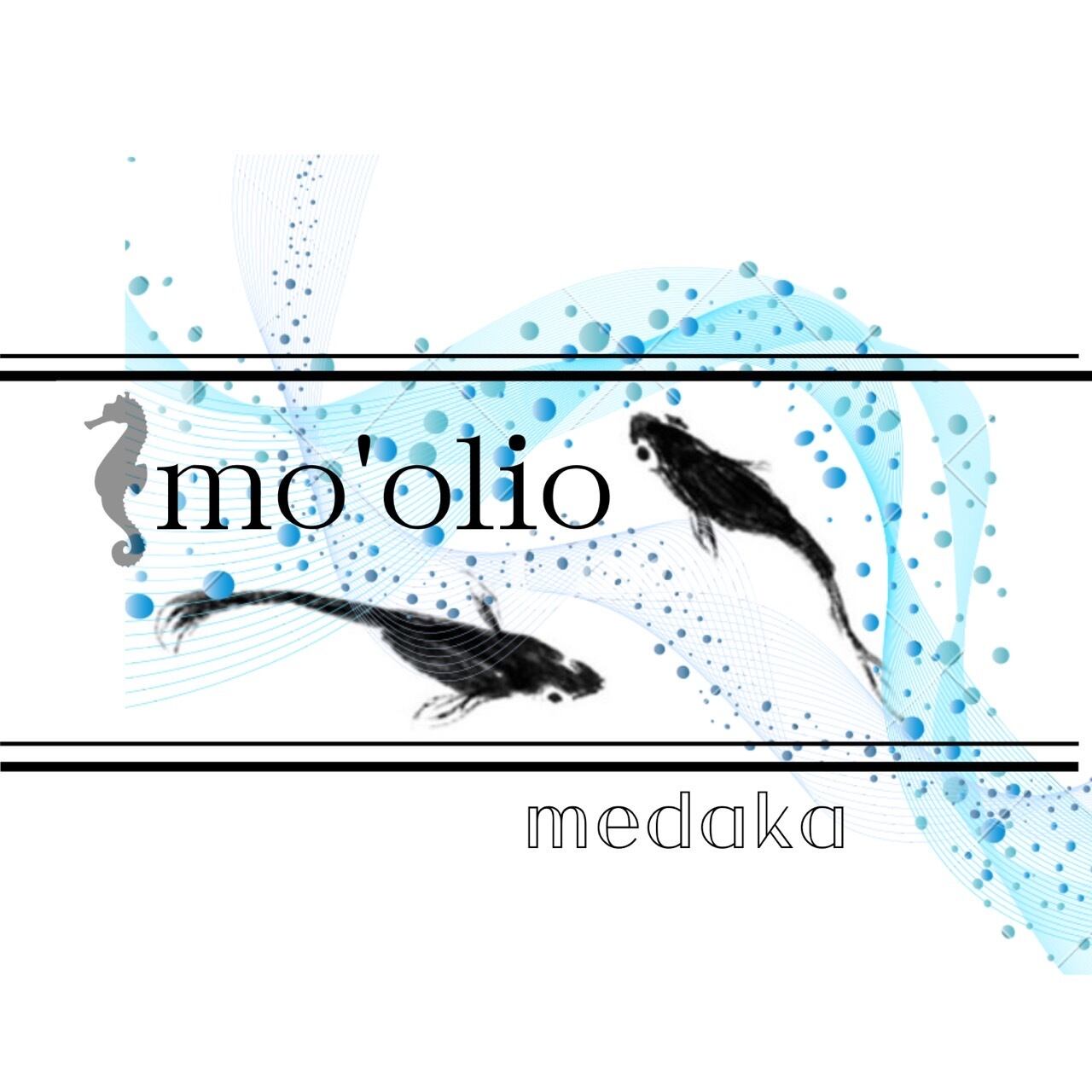 Mo'oLio《モーリオ》MEDAKA