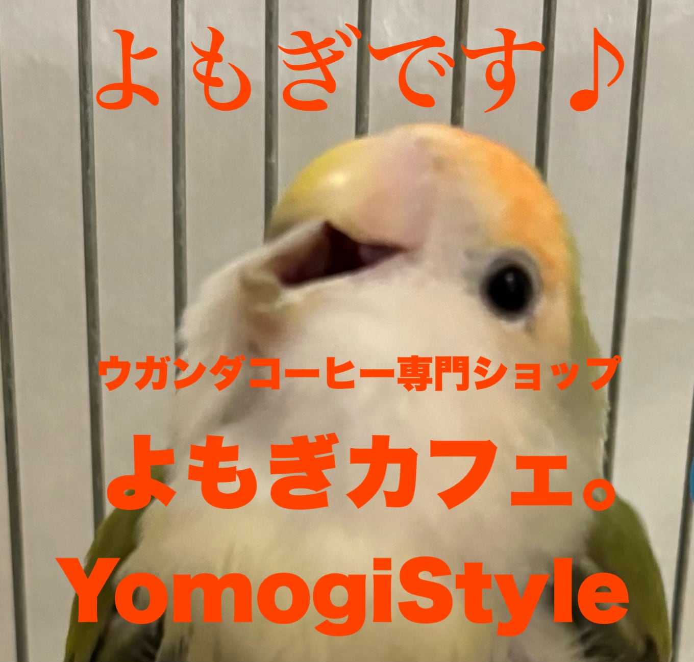 Yomogi Style  ウガンダコーヒー専門ショップ　よもぎカフェ