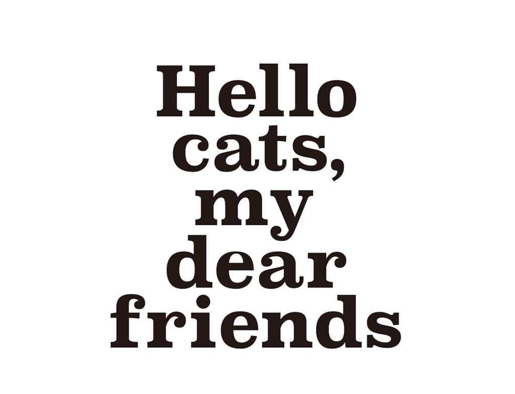 Hello cats, my dear friends