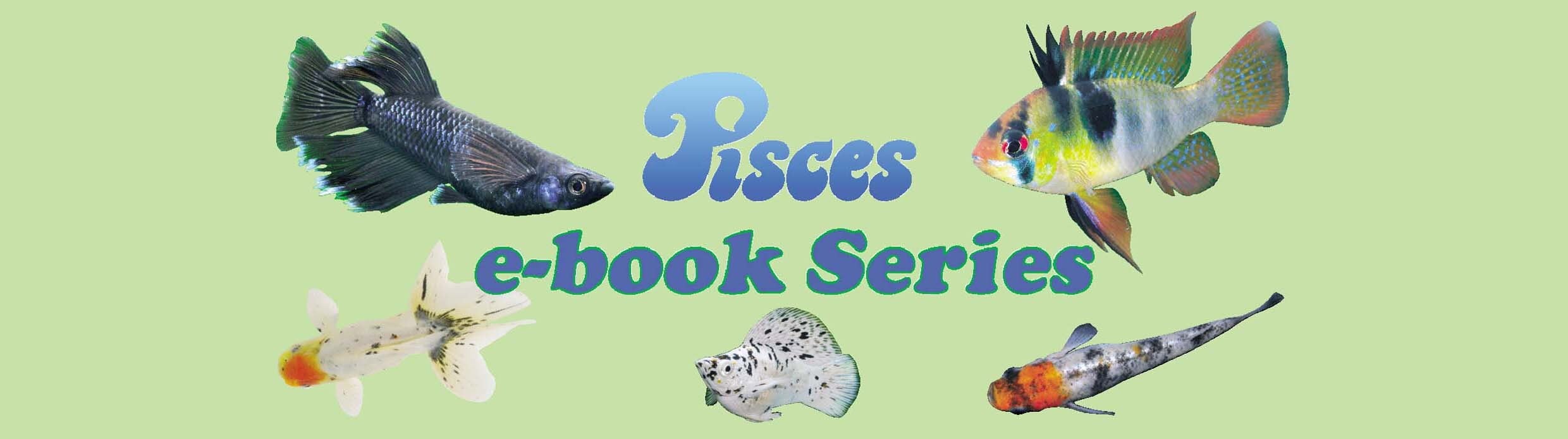 株式会社ピーシーズ