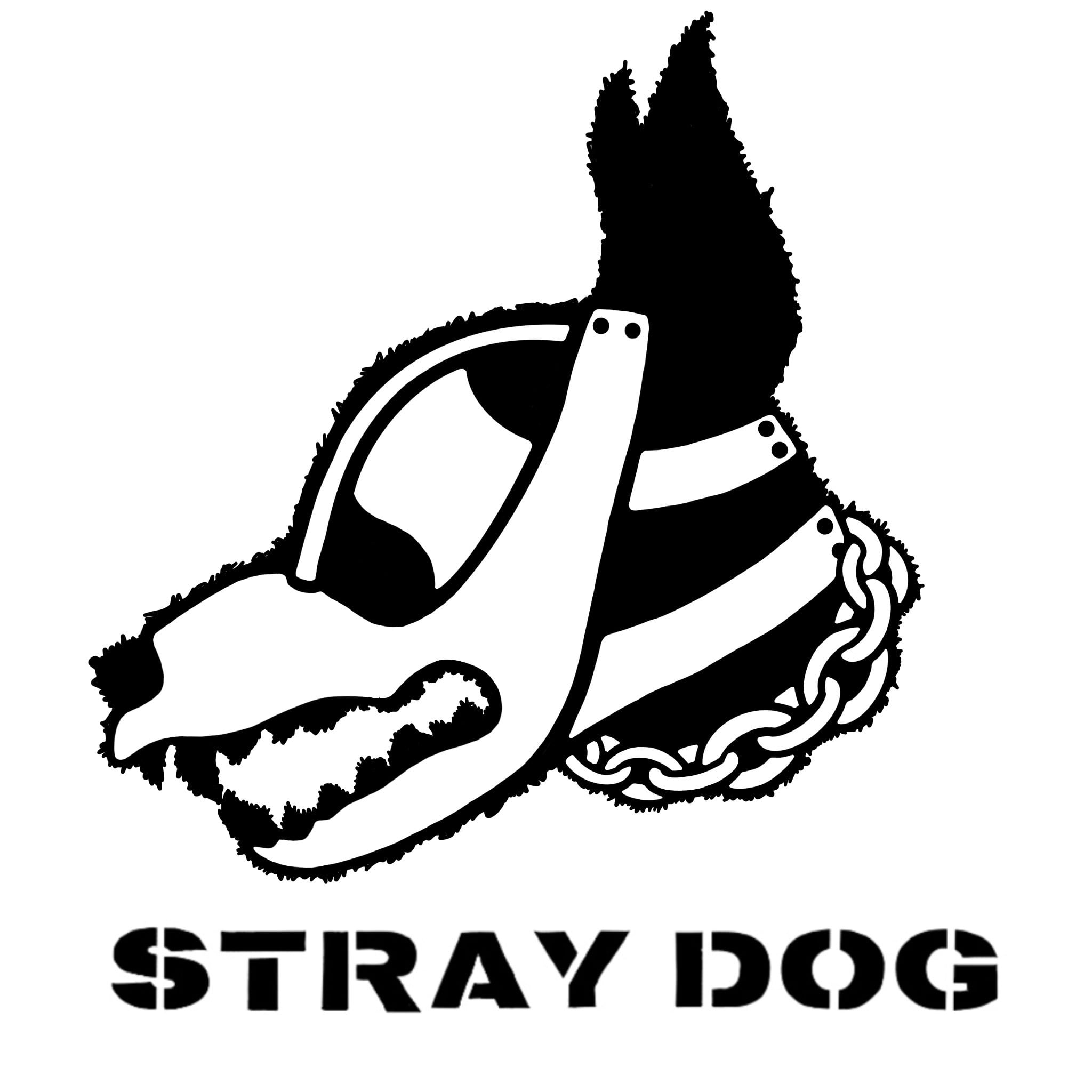 stray dog