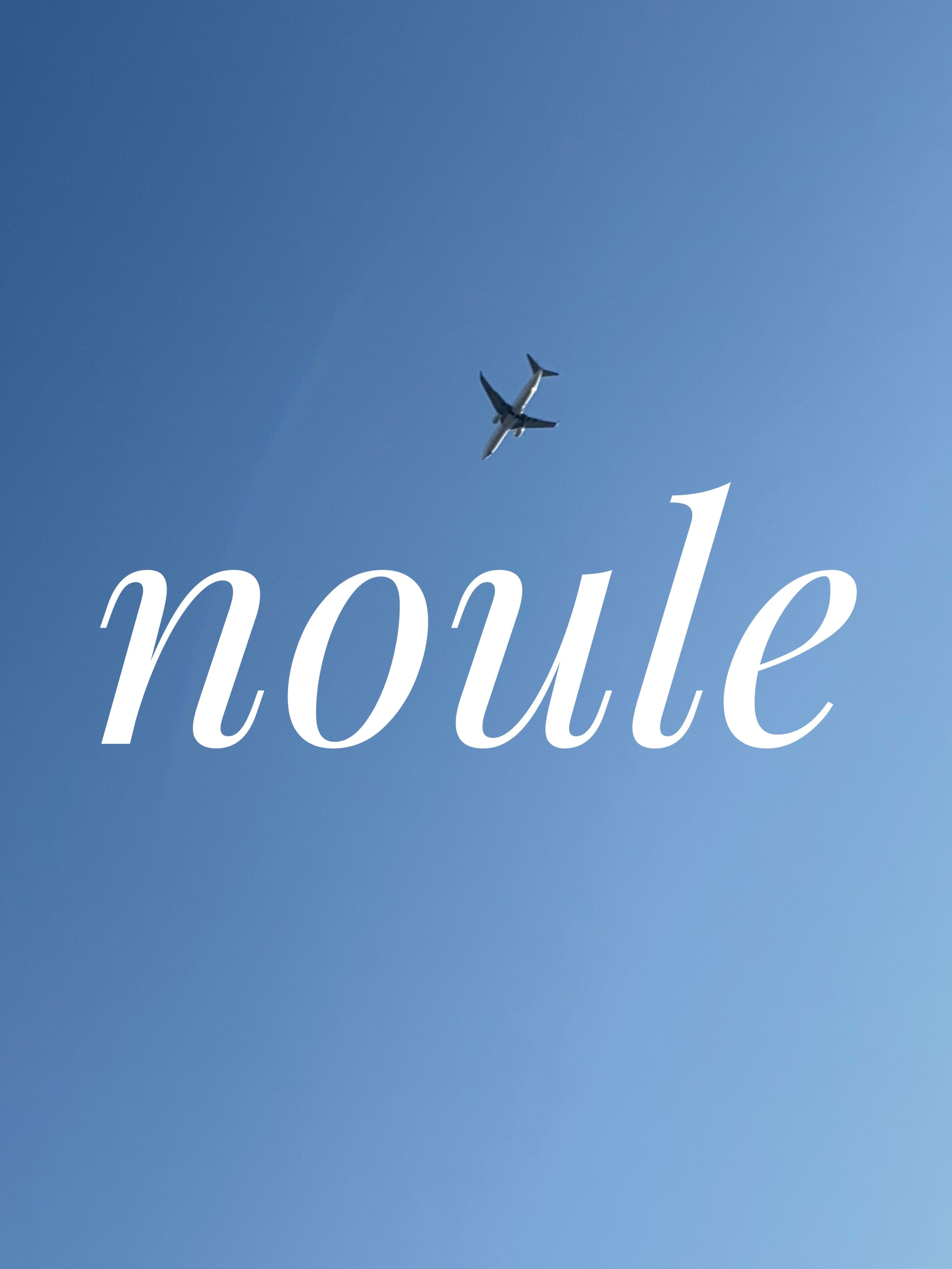 noule