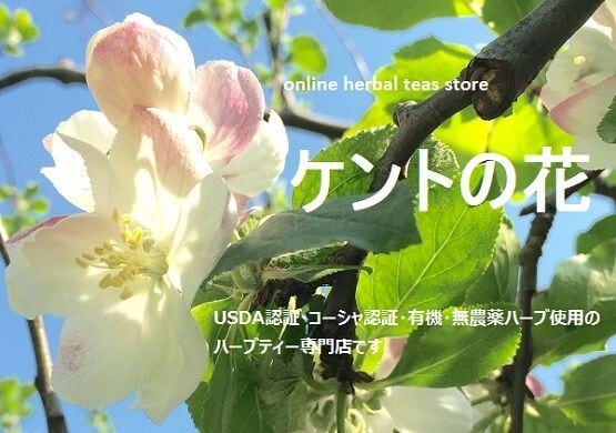 オーガニック・ハーバルティー専門店 ケントの花［USDA認証オーガニックほか有機・無農薬ハーブ使用のハーブティー専門店］