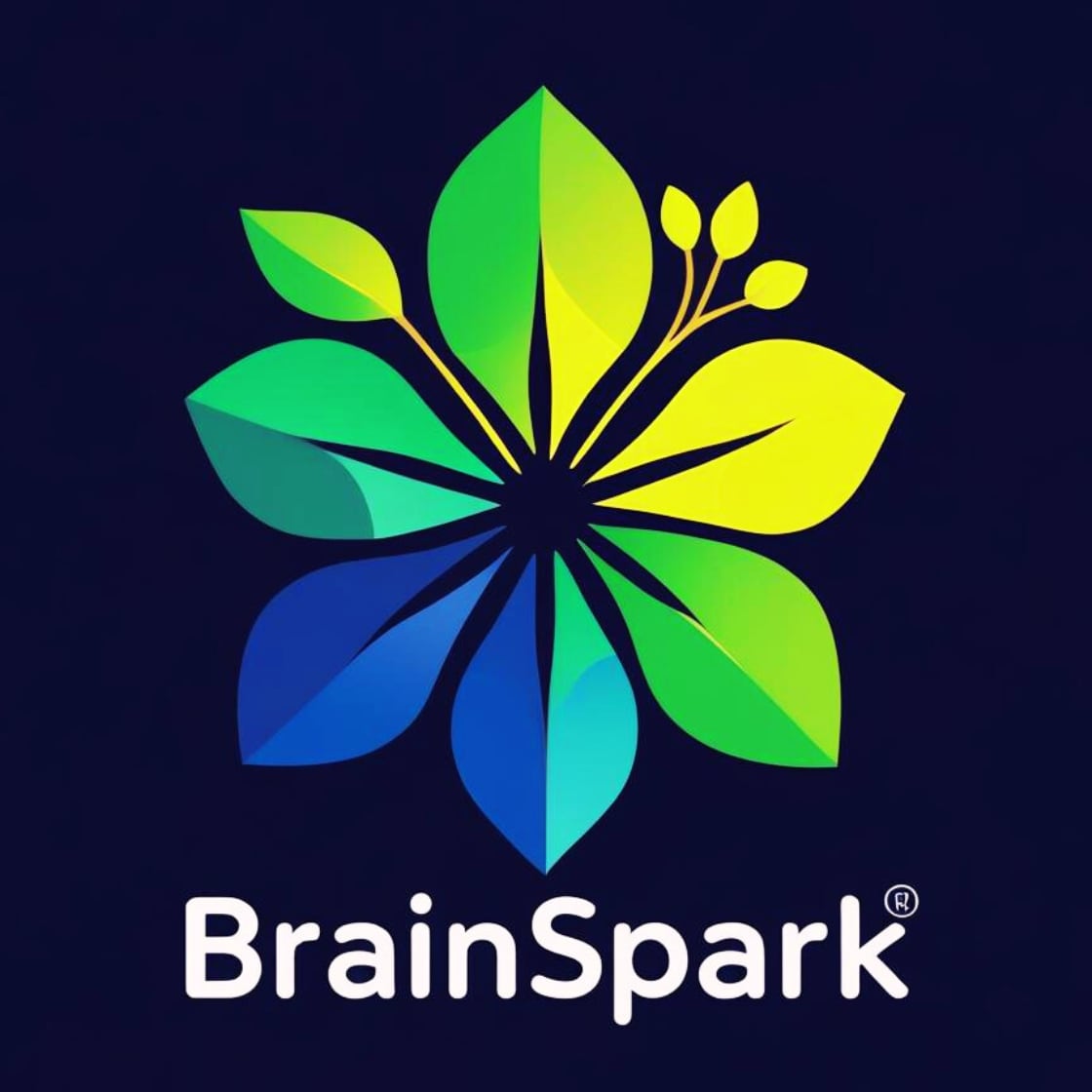 BrainSpark  Dsign ＆ More　SHOP