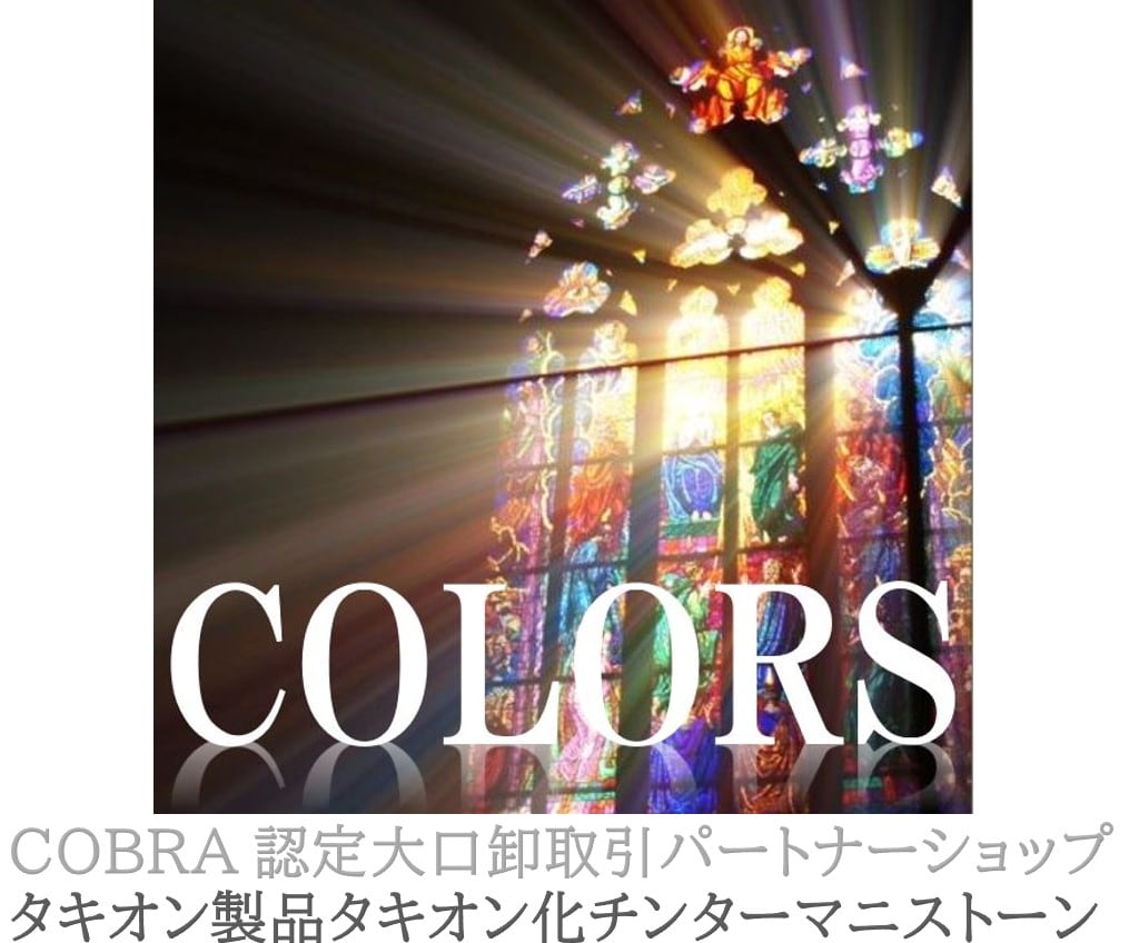 美品 タキオン化 シルバーコイン ニュータキオン社 （TACHYON MUSIC 