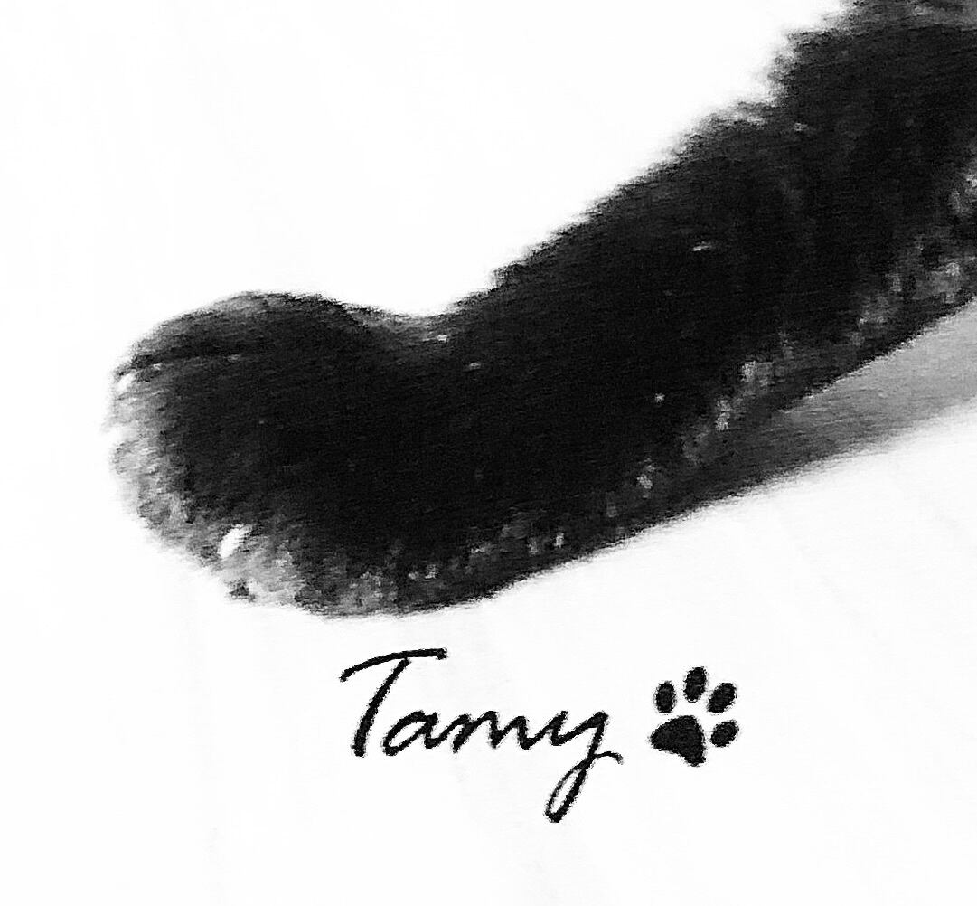 鞄屋~Tamy~