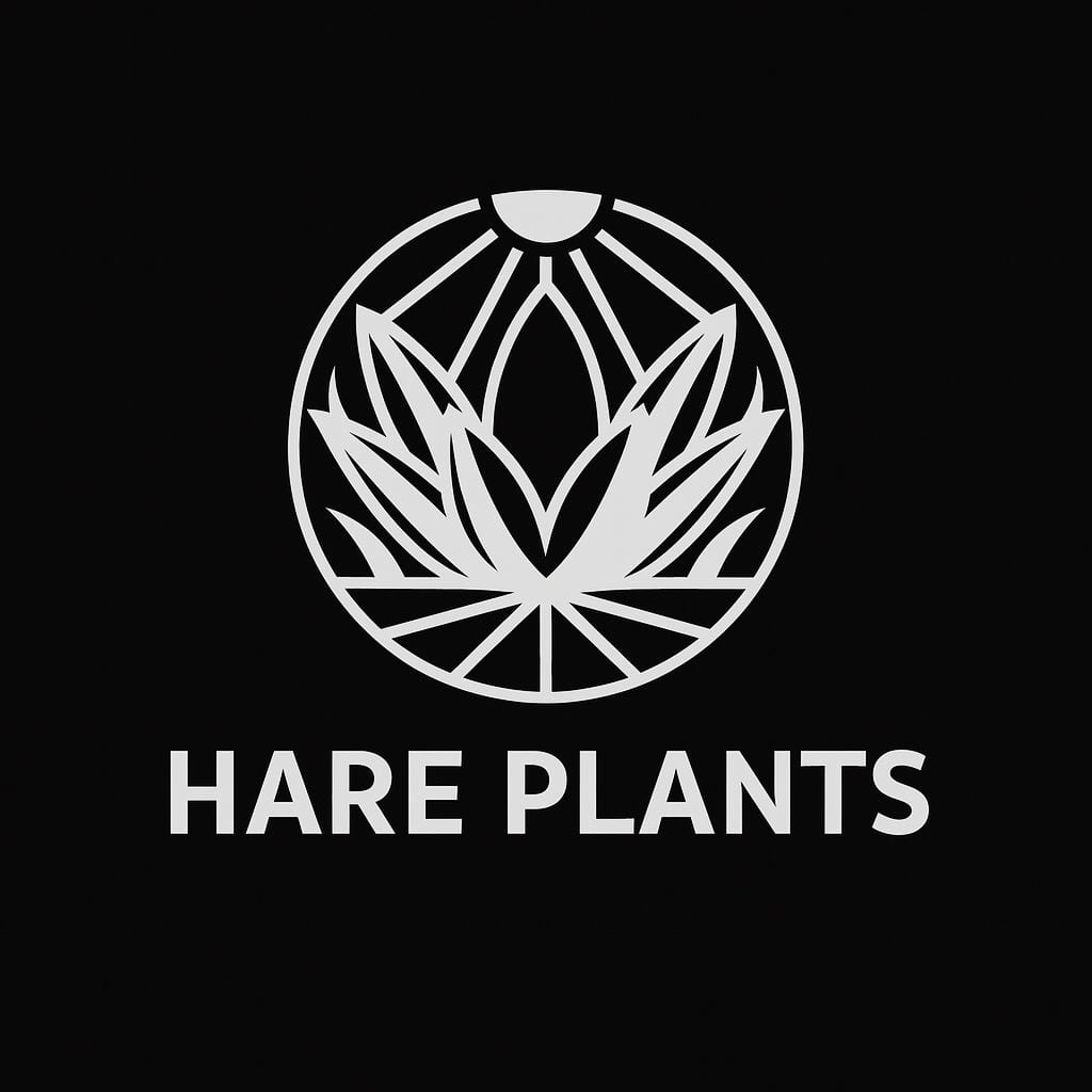 hare plants