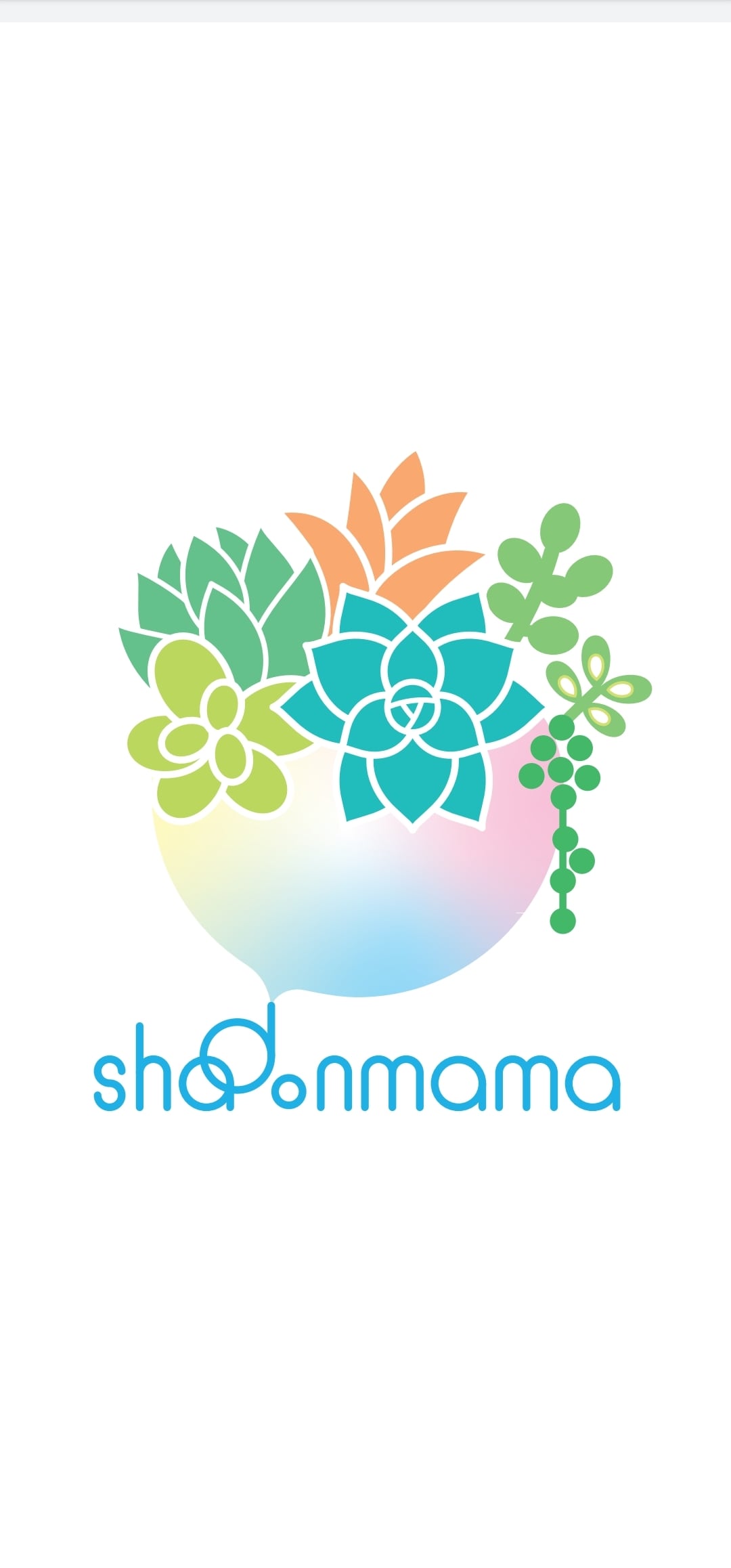 多肉植物　shadonmama