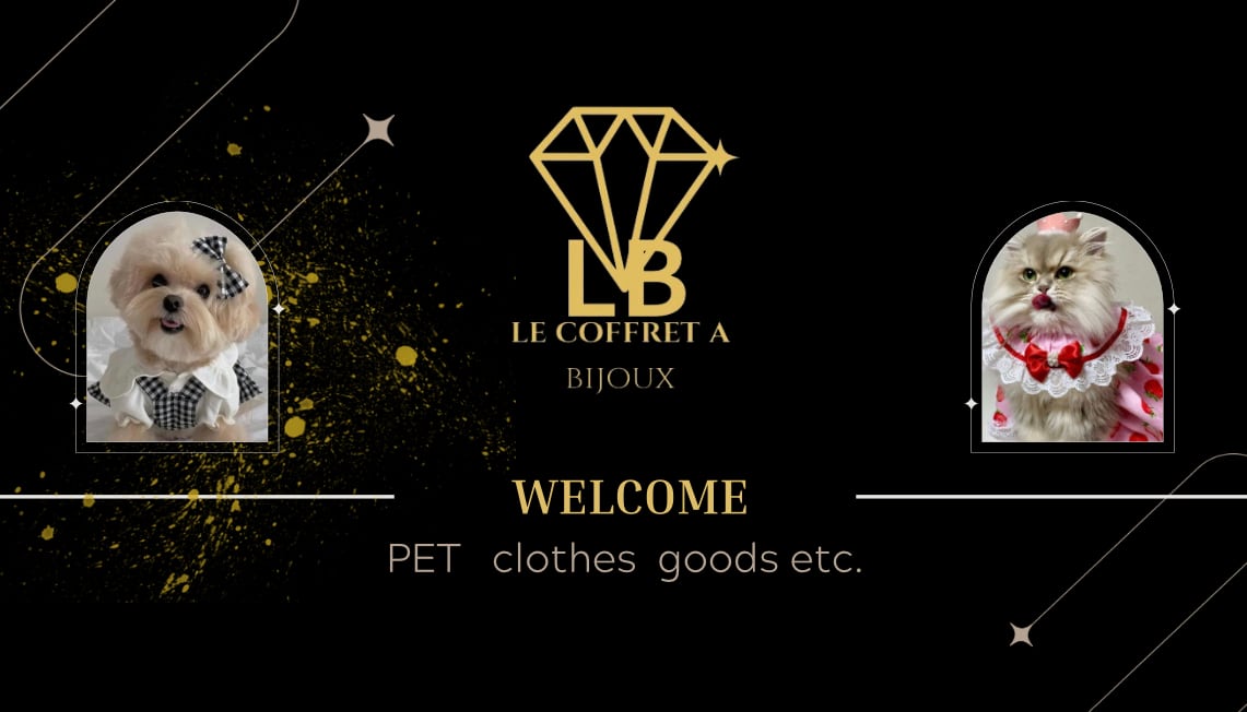 le coffret a  bijoux