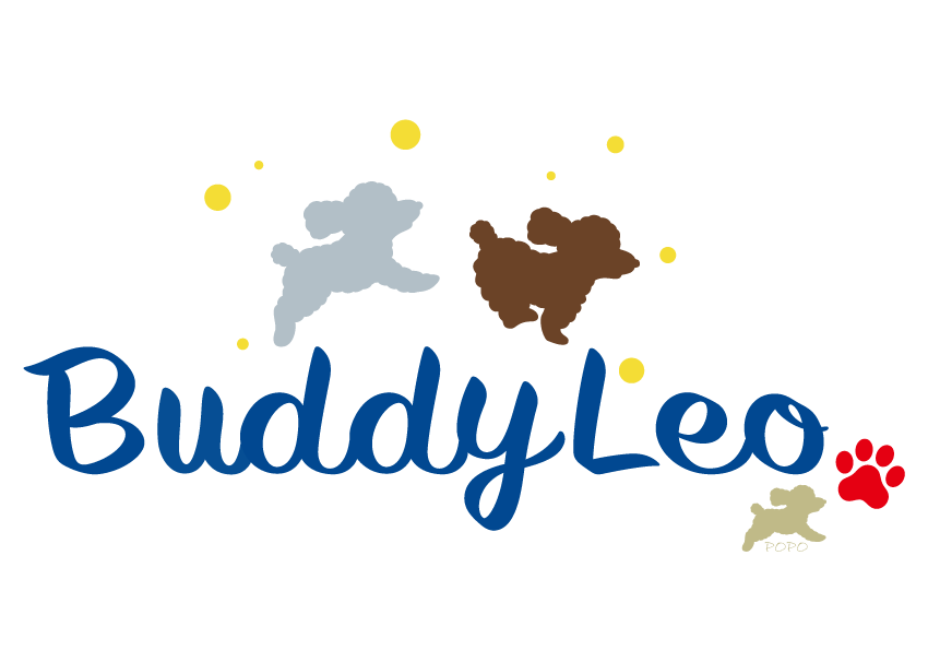 buddyleopopo
