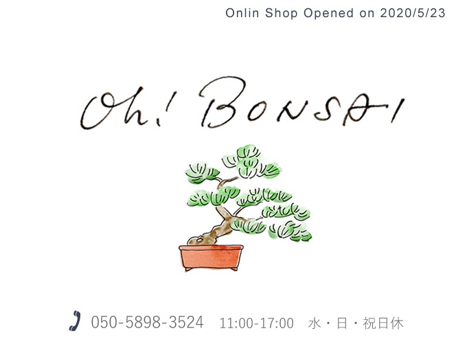 Oh! BONSAI