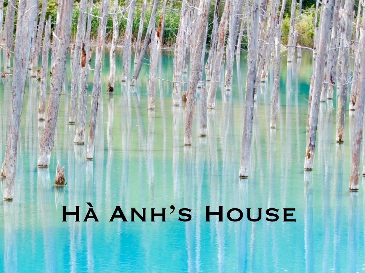 Hà Anh's House