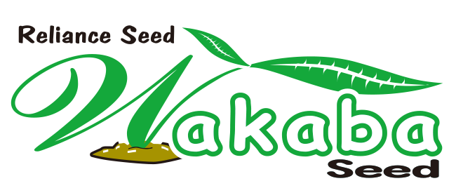 wakabaseed