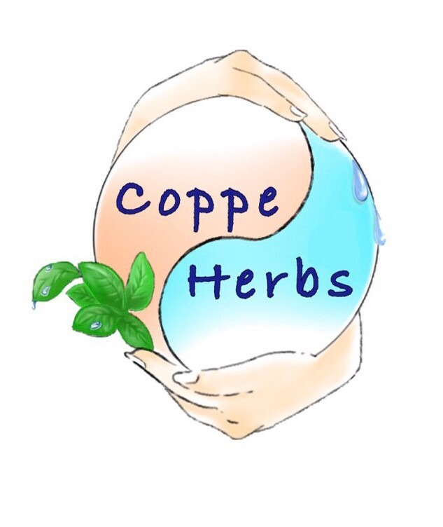 よもぎ 野草 タイハーブ で健康サポート ～Coppe Herbs～コッペハーブスオンラインショップ