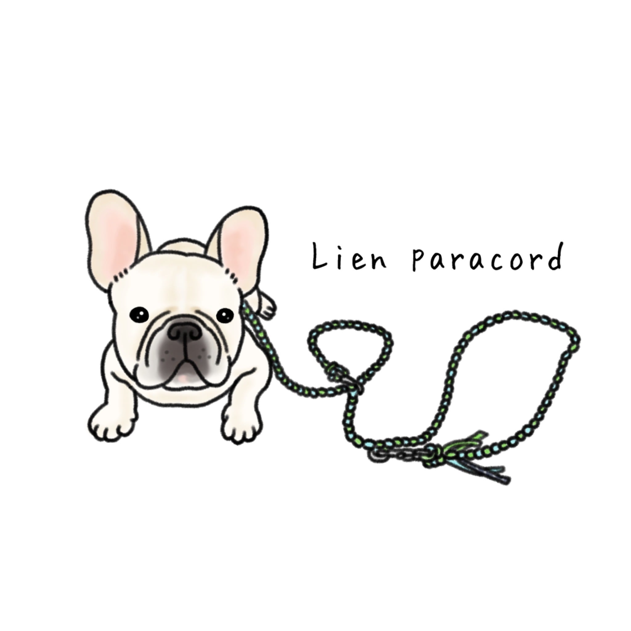 Lien  paracord