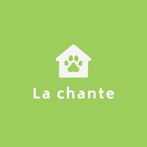 Lachante