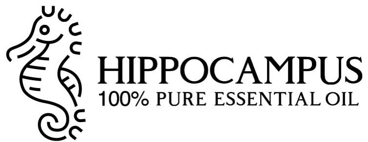 HIPPOCAMPUS