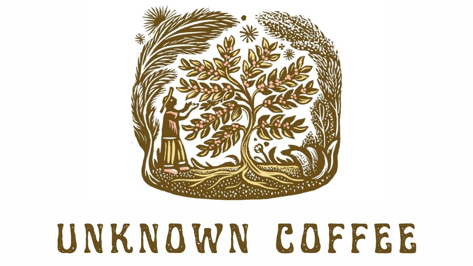 unknown coffee