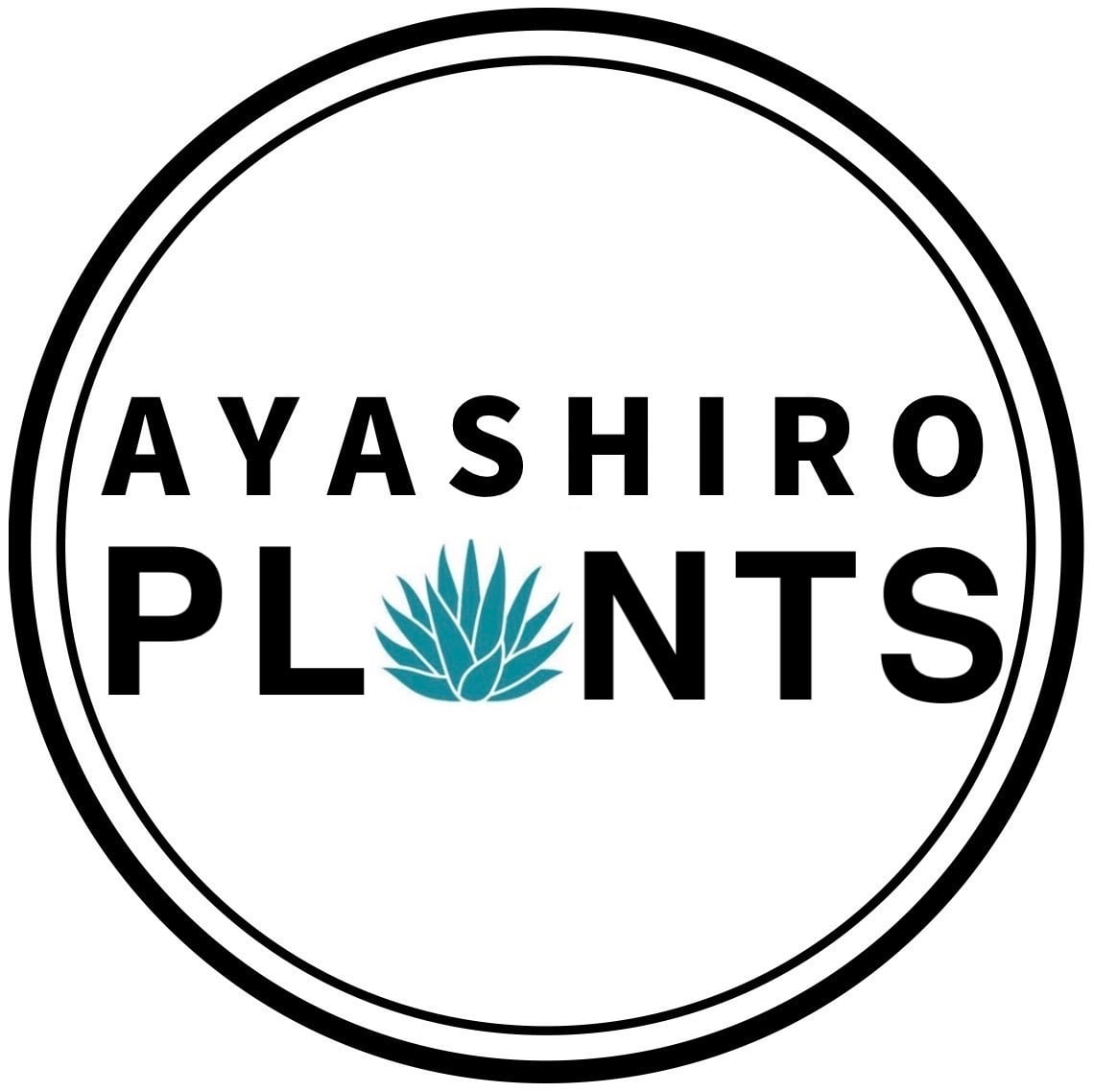 AYASHIRO PLANTS