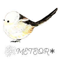 METEOR＊