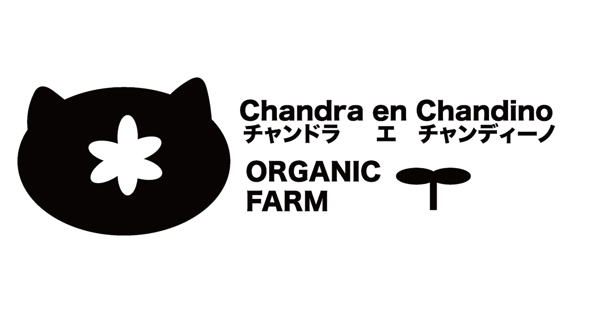 Chandra en Chandino