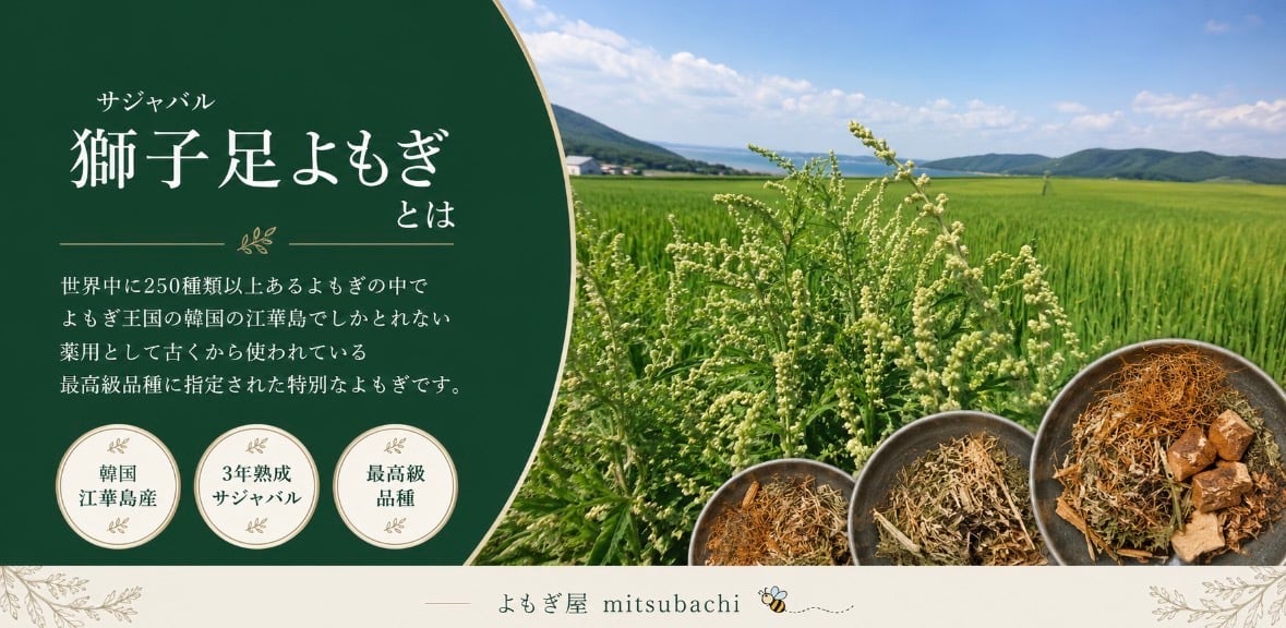 よもぎ屋mitsubachi
