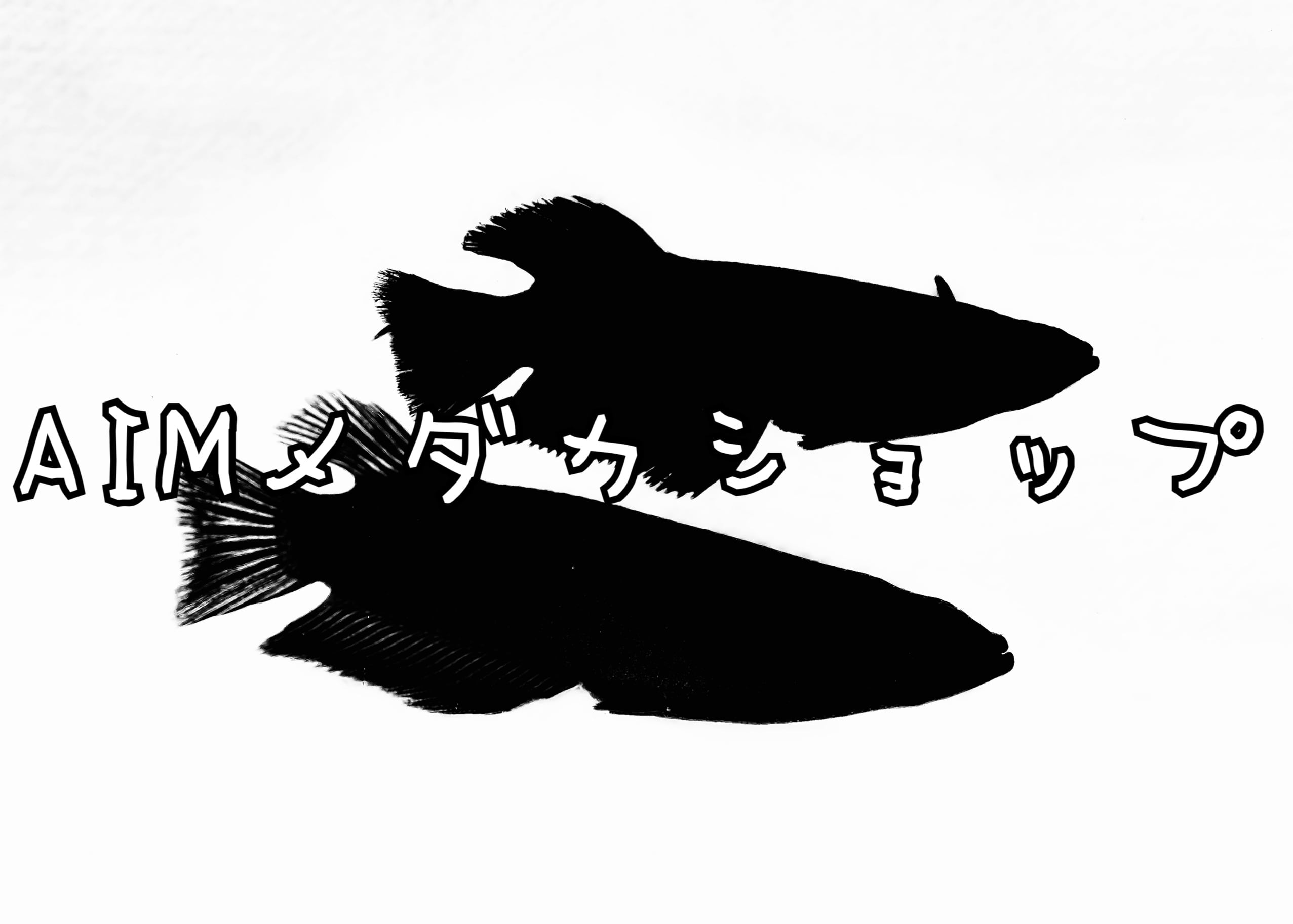 aimメダカショップ