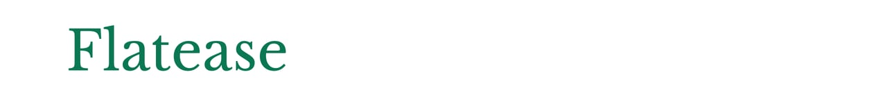 【公式】ウィッグ専門美容室フラッティス