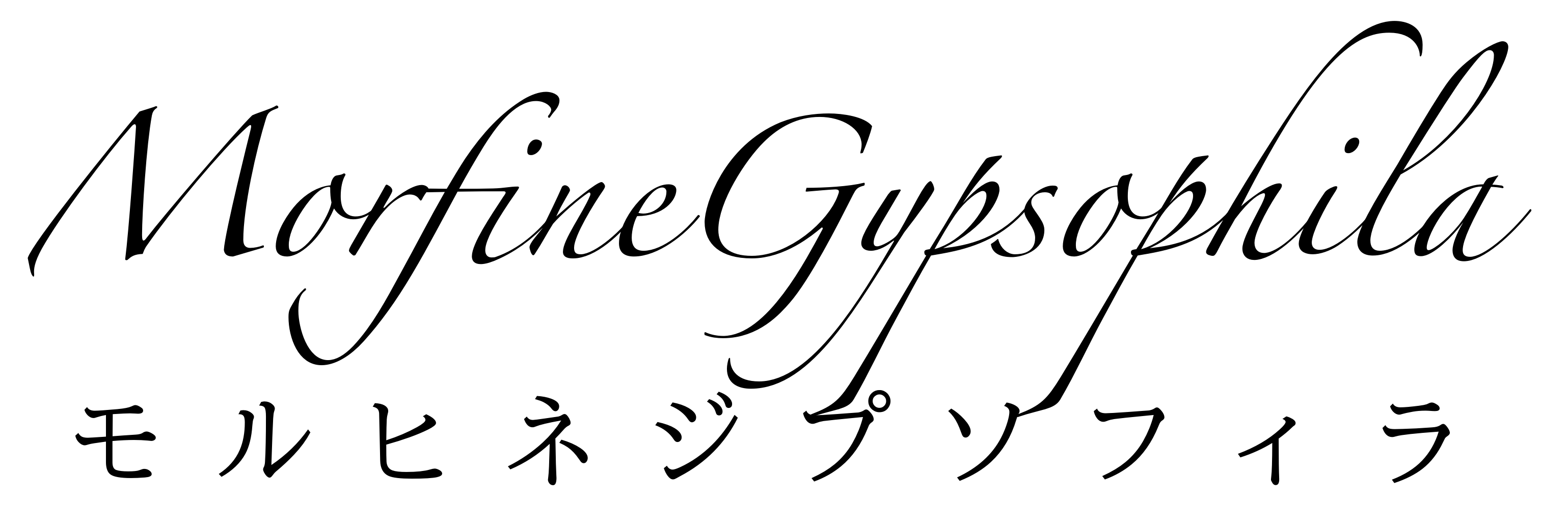 MorfineGypsophila