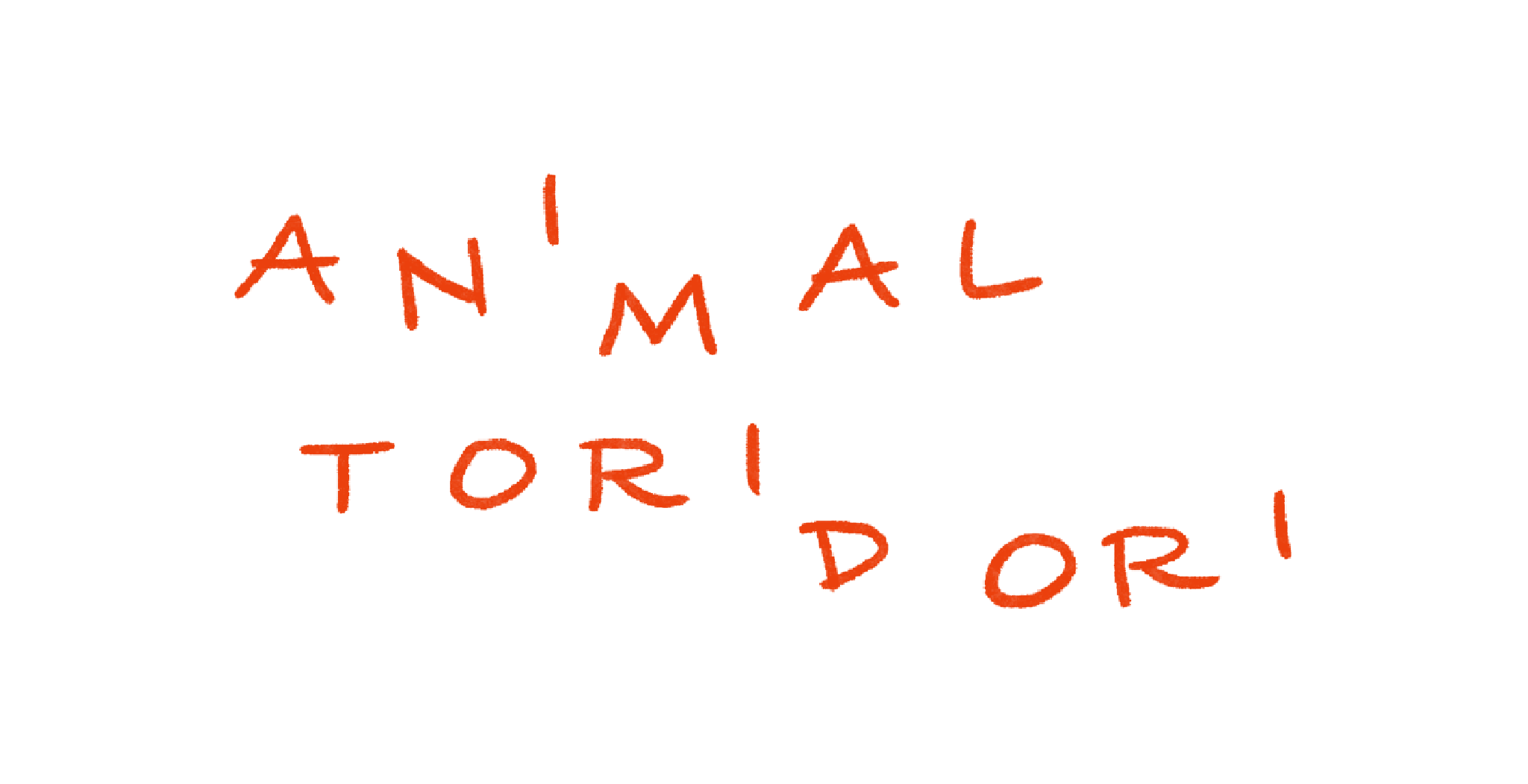 ANIMAL TORIDORI 