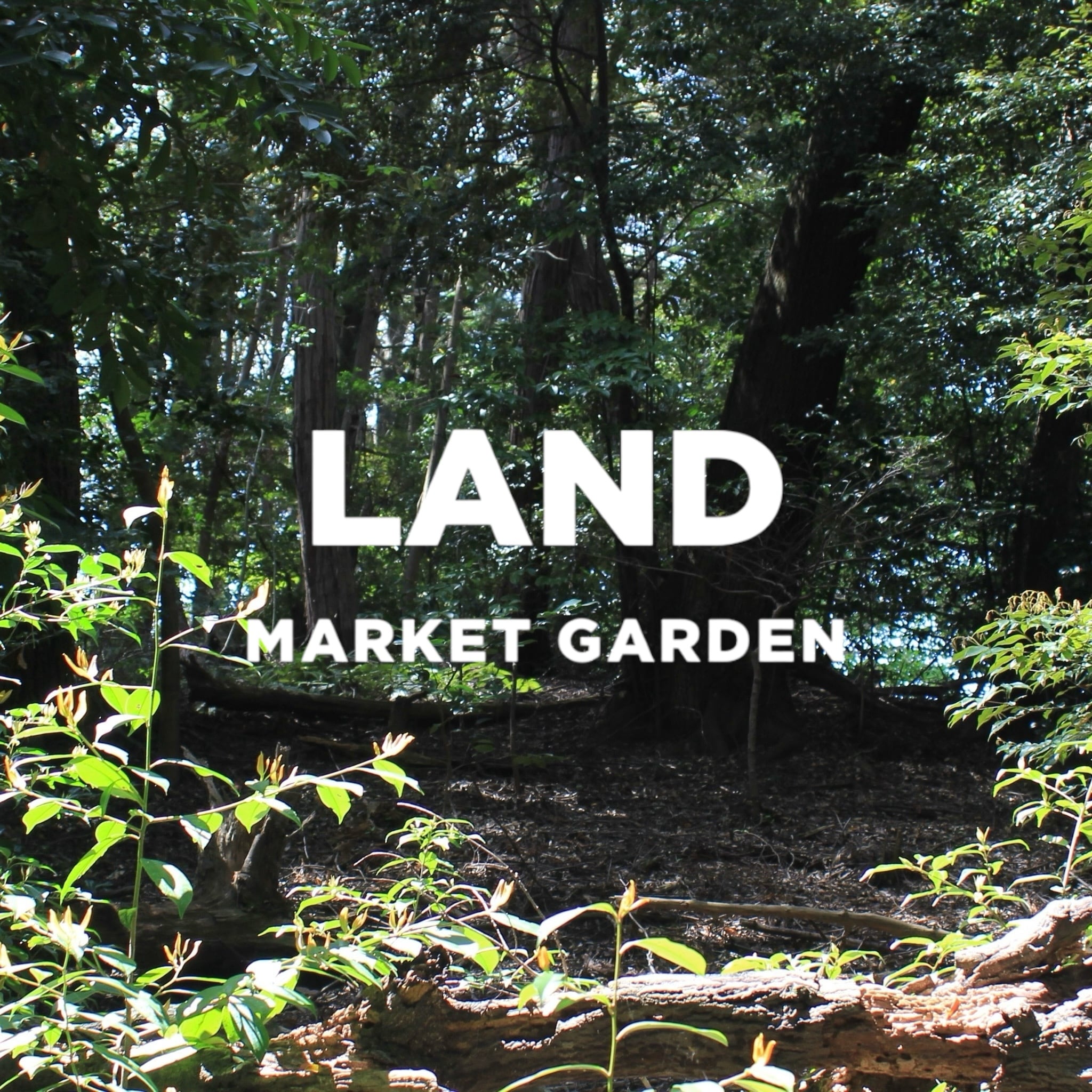 LAND MARKET GARDEN