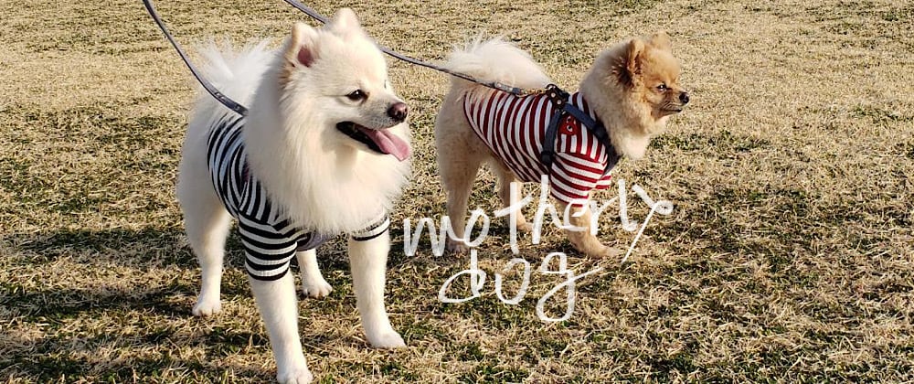 motherlydog