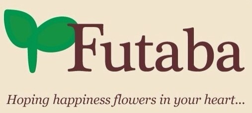 Futaba sweets online