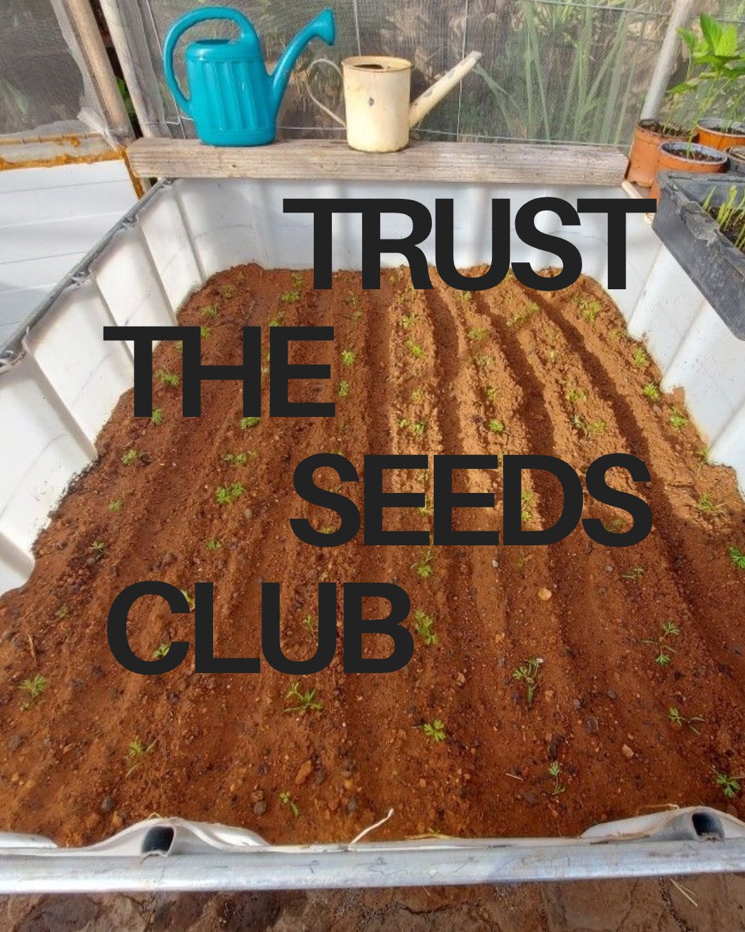 TRUST THE SEEDS CLUB