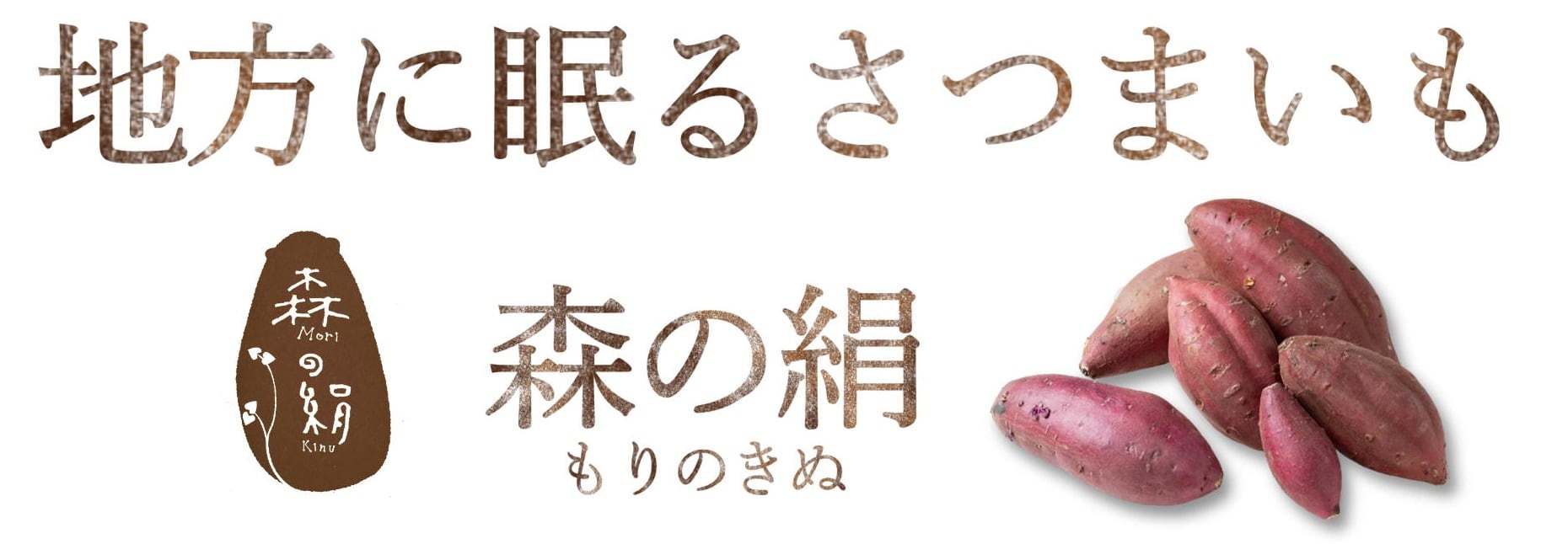 morinokinu