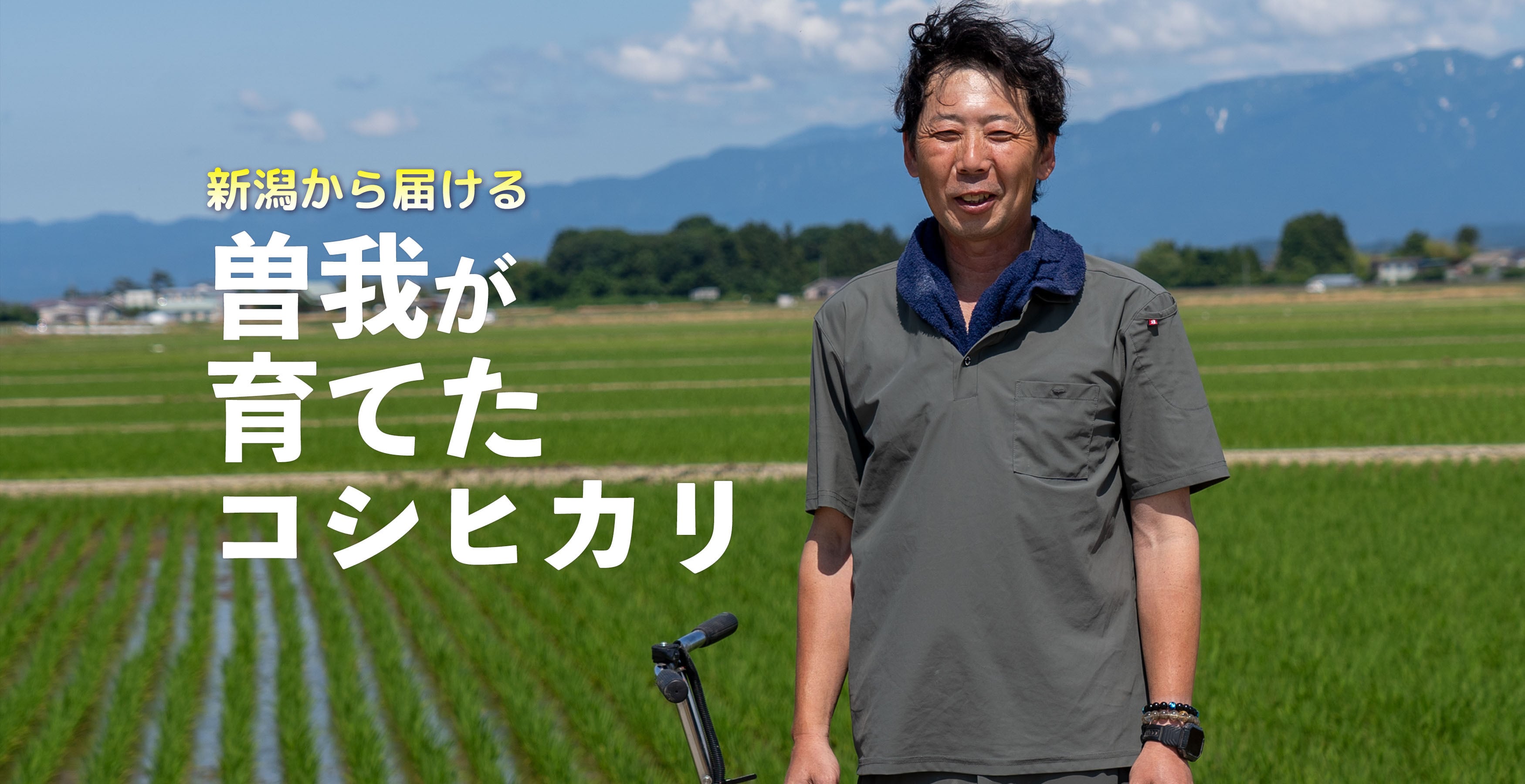 米配り農家　曽我