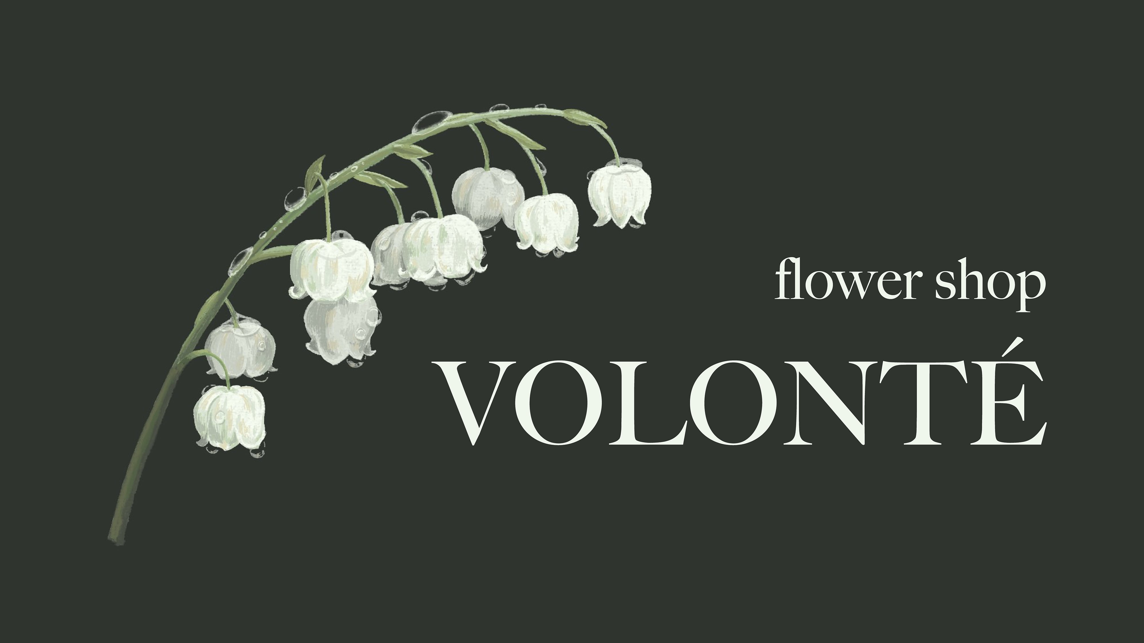 VOLONTÉ