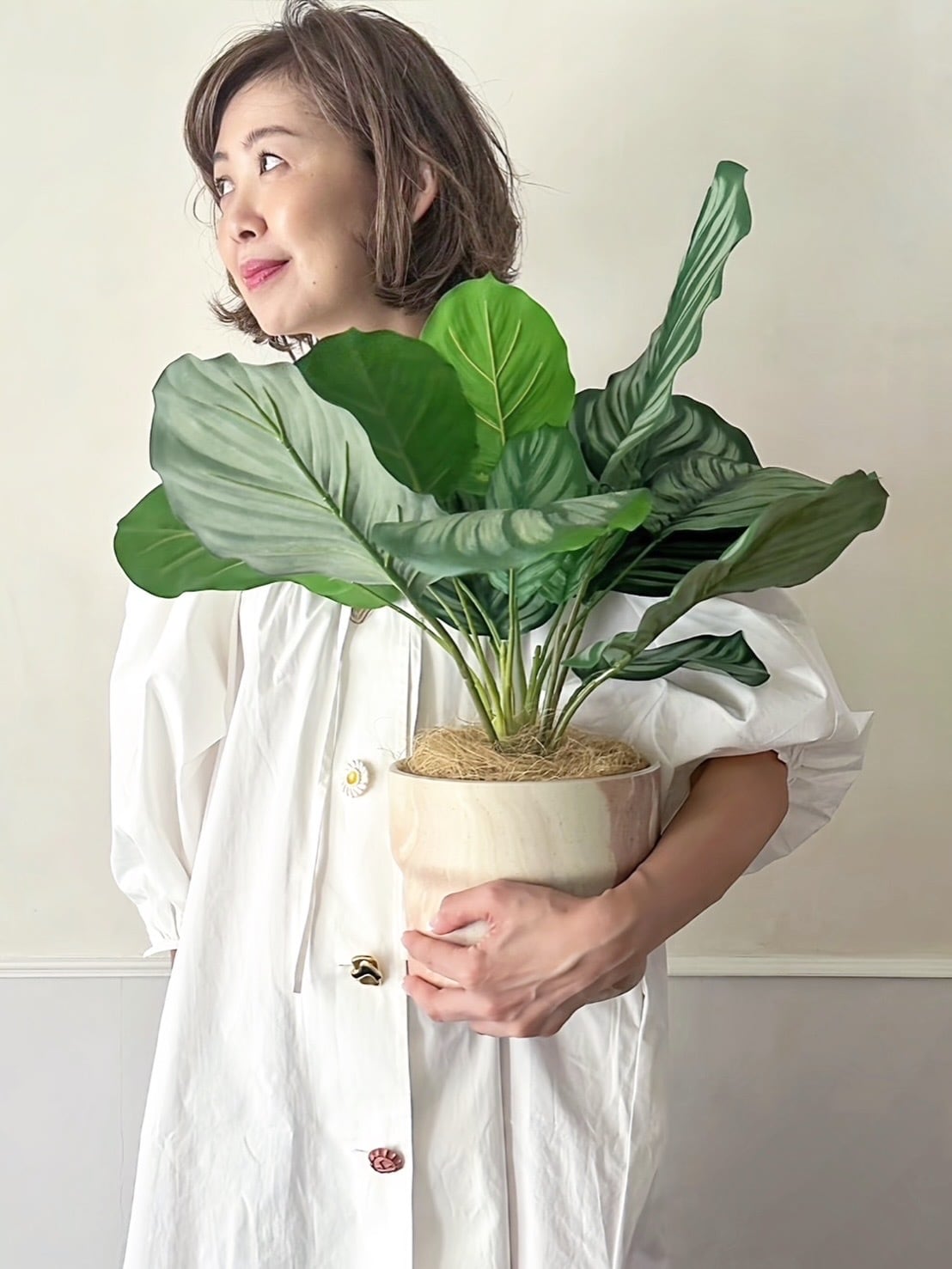 IVORYHOME 80