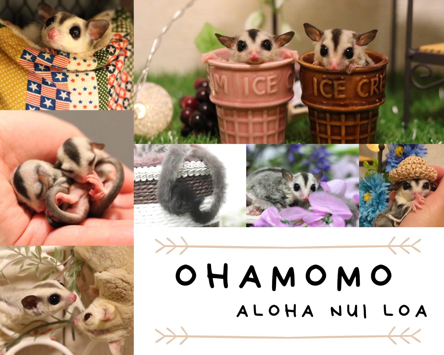 ▽△OHAMOMO△▽