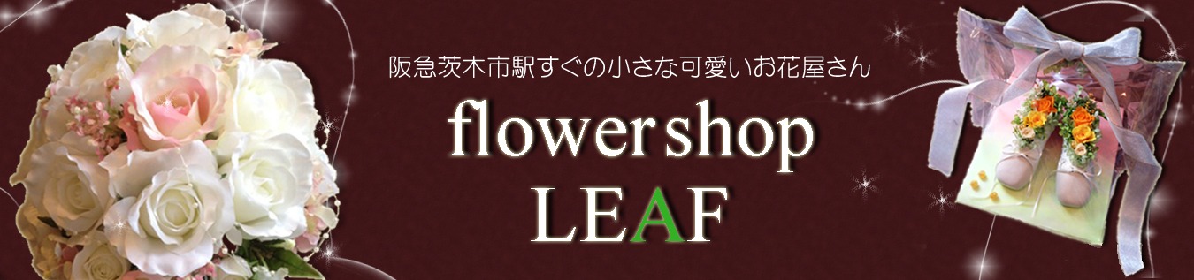 flowershop LEAF
