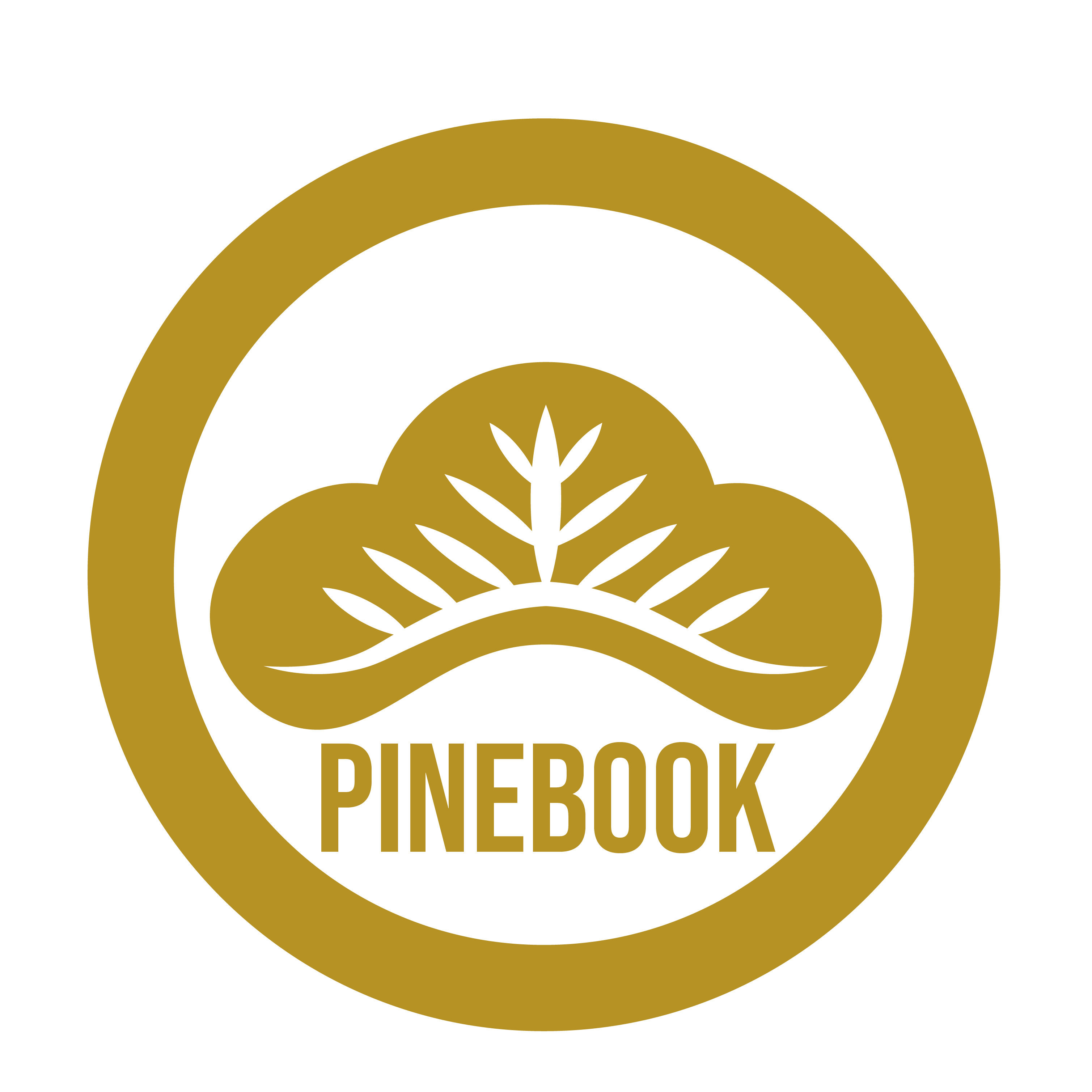 Pinebook Power Bracelet