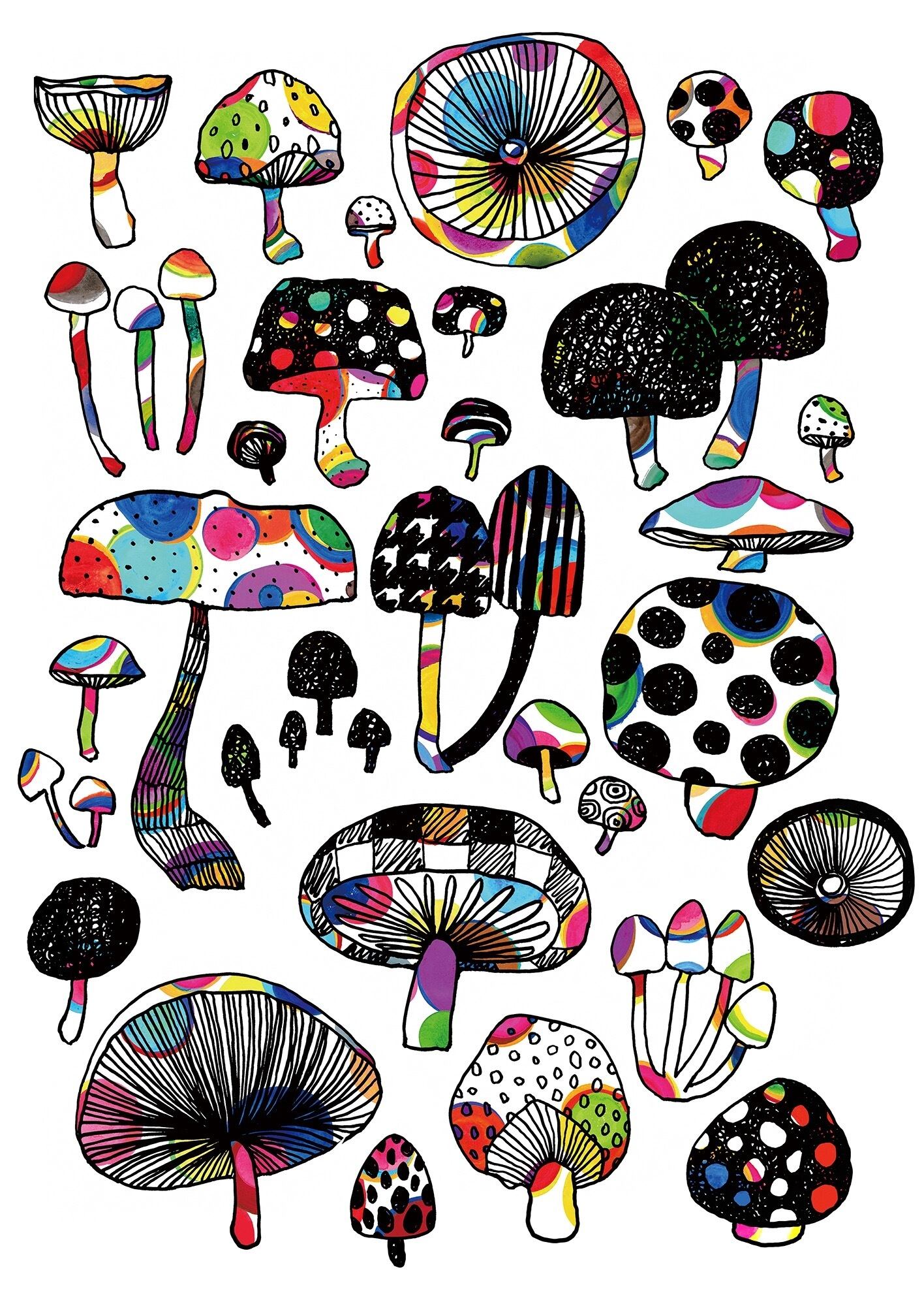 About イワタニユウスケ