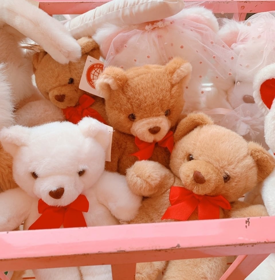 TEDDY  Toys  Shop♡